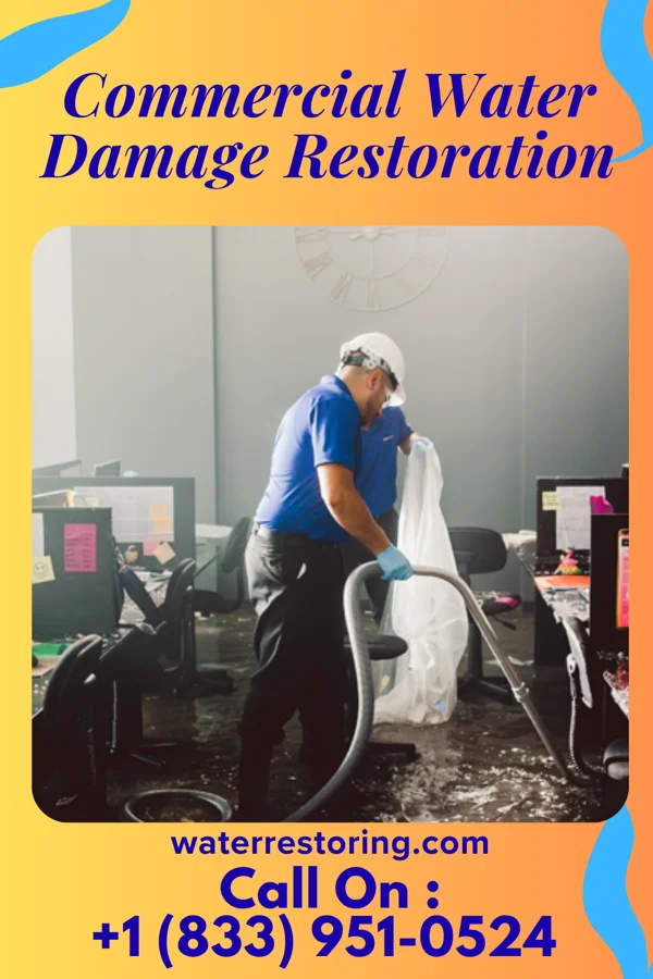 Commercial Water Damage Restoration in Snohomish, WA